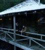 teamhudgensnycpolarn1168.jpg