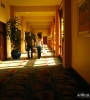 image7.jpg