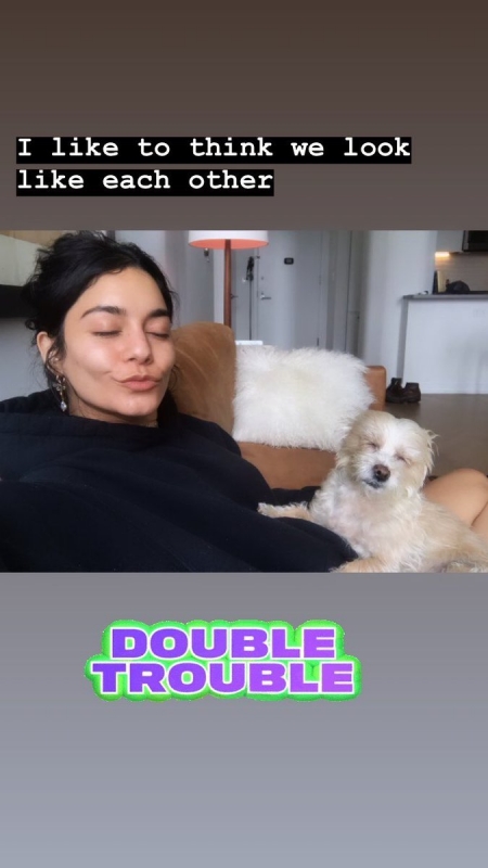 normal_D8UMFUHV4AAxk_C.jpg