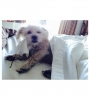 000608.jpg