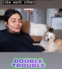 normal_D8UMFUHV4AAxk_C.jpg